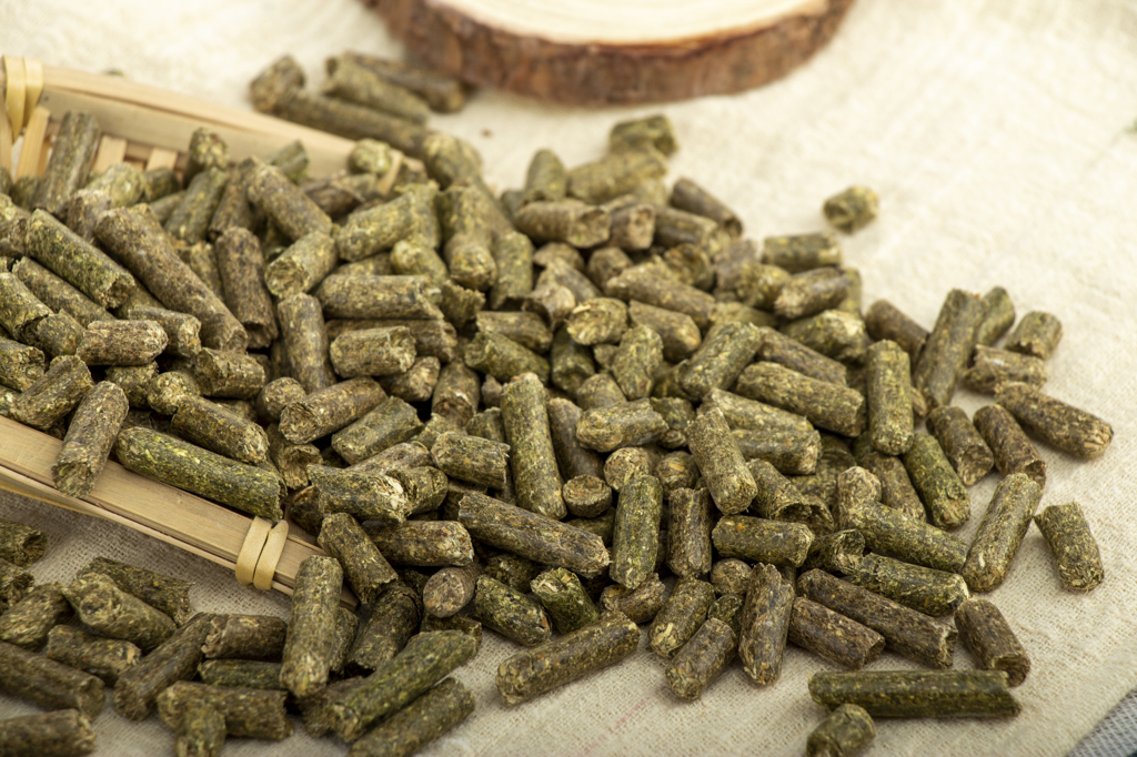 进口苜蓿草颗粒