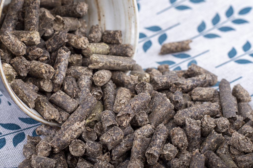 埃及甜菜粕颗粒